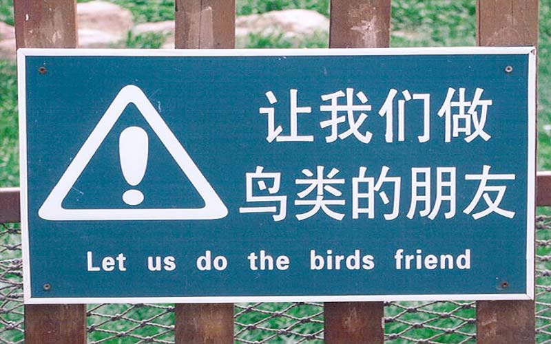 Let us do the birds friend