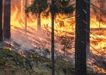Naturkatastrofer som skakade Sverige