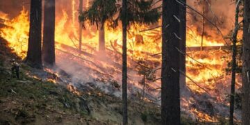 Naturkatastrofer som skakade Sverige